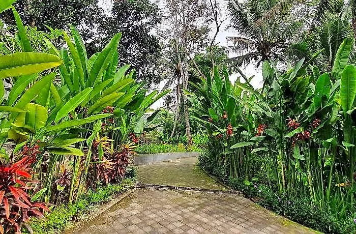 Cahaya Indah - Adults Only